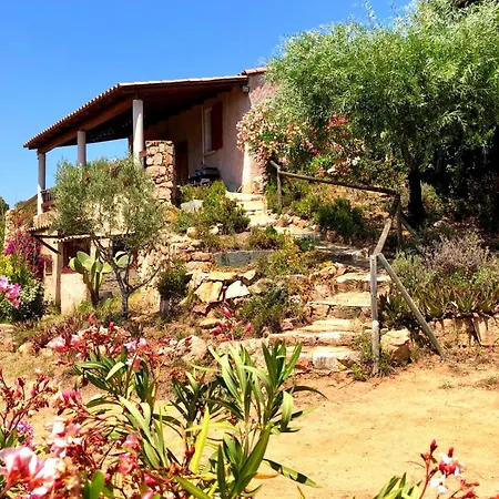 Authentique Maison Corse Entre Et Maquis Villa