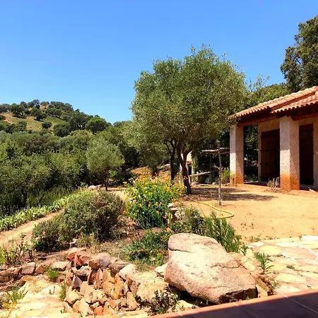 Maison Authentique Corse Vue Panoramique Et Nature Sauvage
