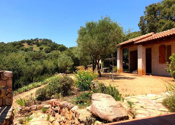 Maison Authentique Corse Vue Panoramique Et Nature Sauvage